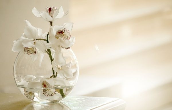 8 פרחים אקזוטיים שאפשר למצוא בחנות הפרחים שלך